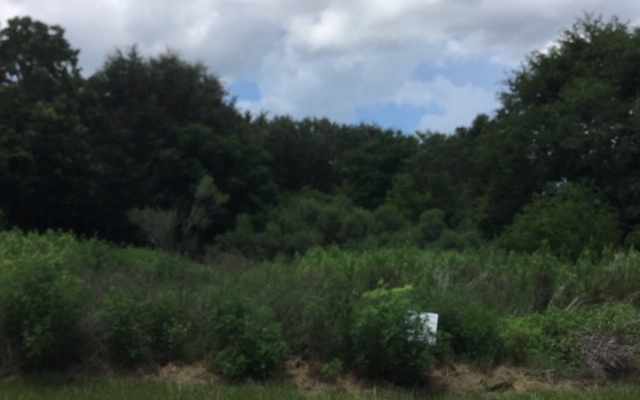 346 Marigold Pl,