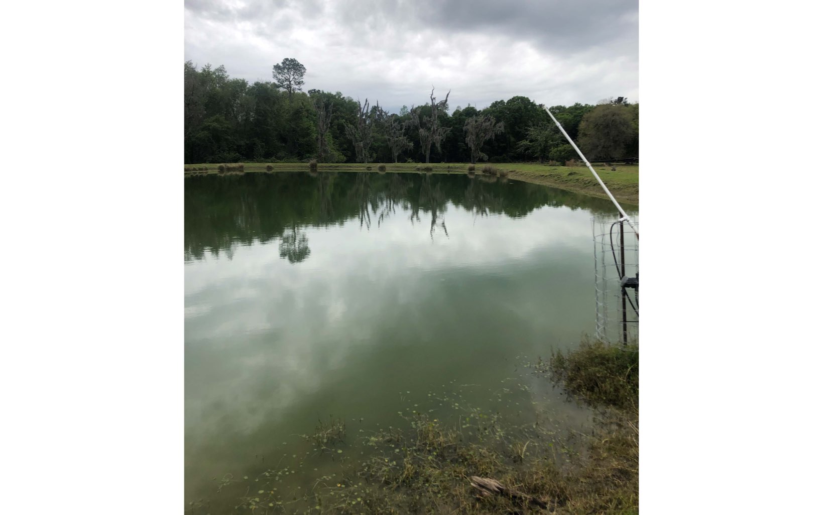 TBD NE Frogs Glen