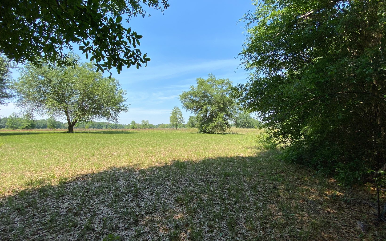 LOT 8 SW Meadow Wood Glen
