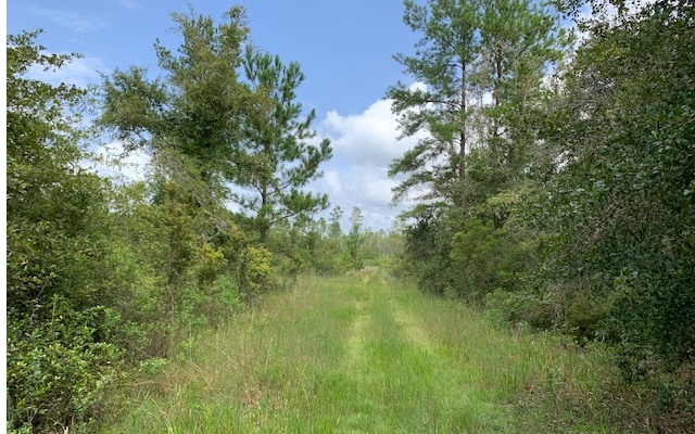 NW Hamp Farmer Road
