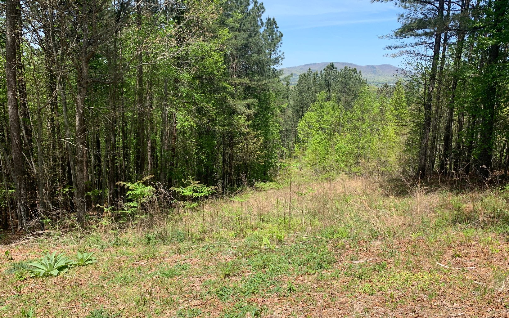 STUNNING LAYERED LONG RANGE MOUNTAIN VIEWS IN THE MOUNTAINS OF NORTH GEORGIA! Located across the street from a privately owned 190 acre tract of land, this beautifully wooded lot has been partially cleared to open up the mountain views and with more select trimming & removal the perfect place to build your mountain retreat. Only minutes from town this paved subdivision is the right place for your North Georgia mountain home.
