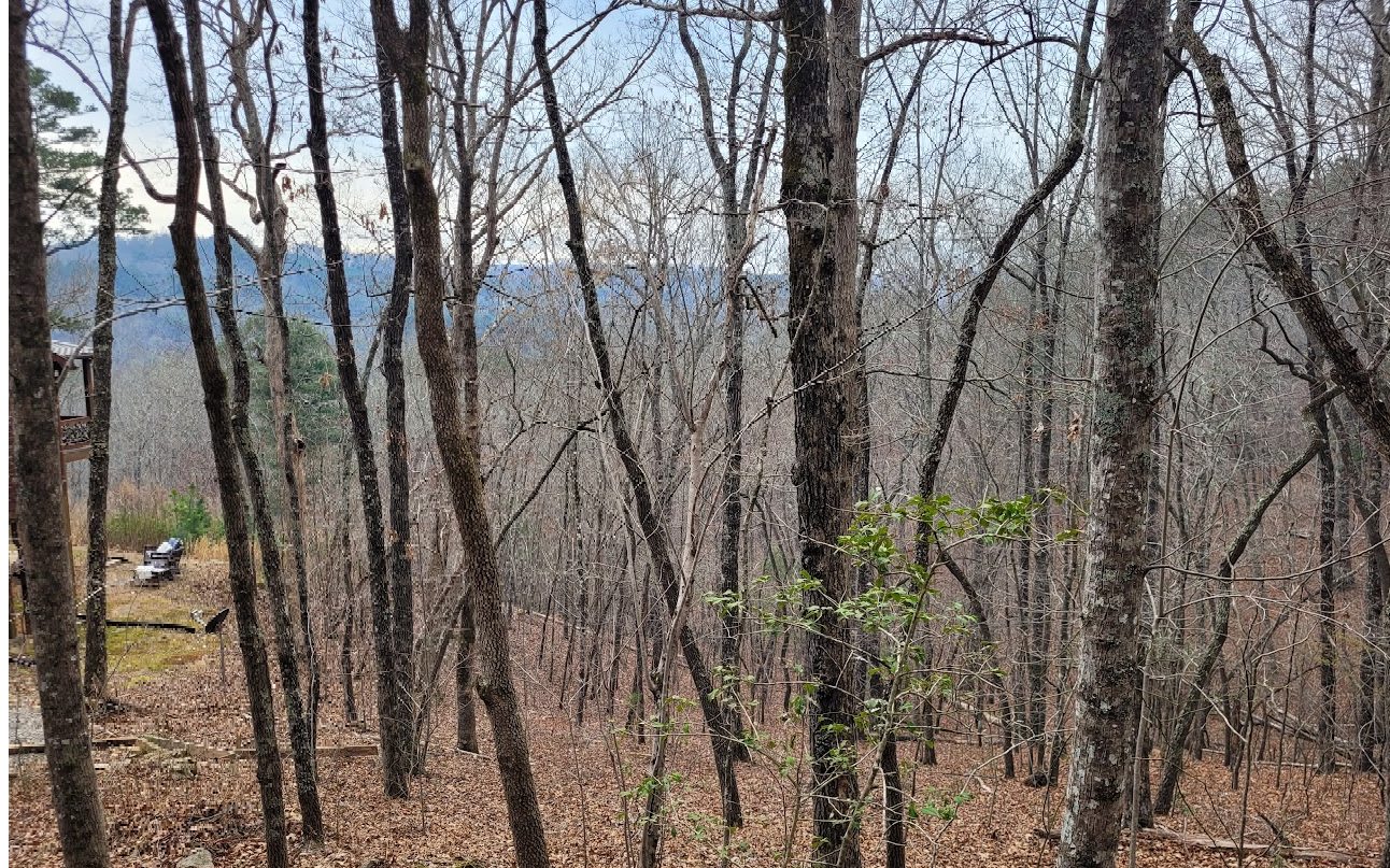 Great view lot overlooking the Toccoa River, short range mountain view, perked and ready to build. All paved roads, underground utilities, city water, near golf course and minutes to Blue Ridge. Deeded Toccoa River access and