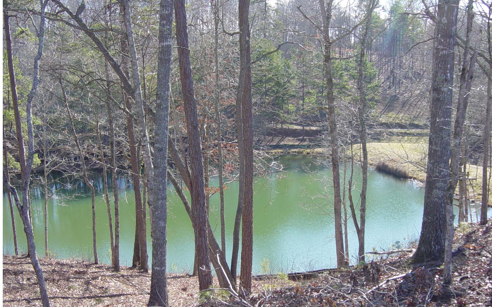 Beautiful Lot 1.34 acres in gated upscale quiet neighborhood in Blairsville, Ga. It has a gorgeous pond/lake out back. This Lot has improvements and is ready to build your dream home. Some pictures shown are of it cleared, it is currently wooded. There is a commons area in the neighborhood with picnic tables and platform deck down by the pond/lake. Mountain Views make this perfect.