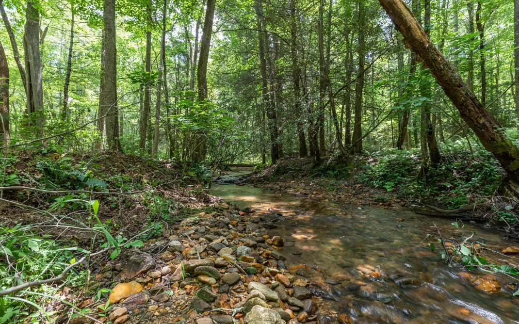 Situated in a community of 3-acre parcels is this beautiful wooded 3.63-acre lot in the Black Forest community just waiting to host your custom-built home! Come build that mountain life you’ve been dreaming of in the north GA mountains. Enjoy the peace and quiet of nature as this level/gentle terrain lot is well-buffered from neighbors. Imagine your new back porch overlooking the small creek found on the property as you watch the morning sunrise. Your investment will be protected by covenants and restrictions but without the expense of a homeowner fee. After a little bit of clearing, you’ll have just what you need with paved road frontage and access to internet and public water/electricity. With DT Blairsville is approx. 15 minutes northeast, you’ll find everything you need nearby yet in a true mountain setting.