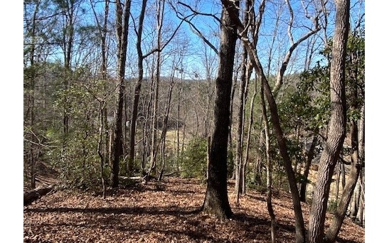 GREAT Lot in a GREAT Community. Convenient location to Blairsville and Blue Ridge.. Very nice valley view with Mountains in the distance. Home Sight high on lot with great option for privacy. Rentals allowed in the community, nice high end homes are going in new..