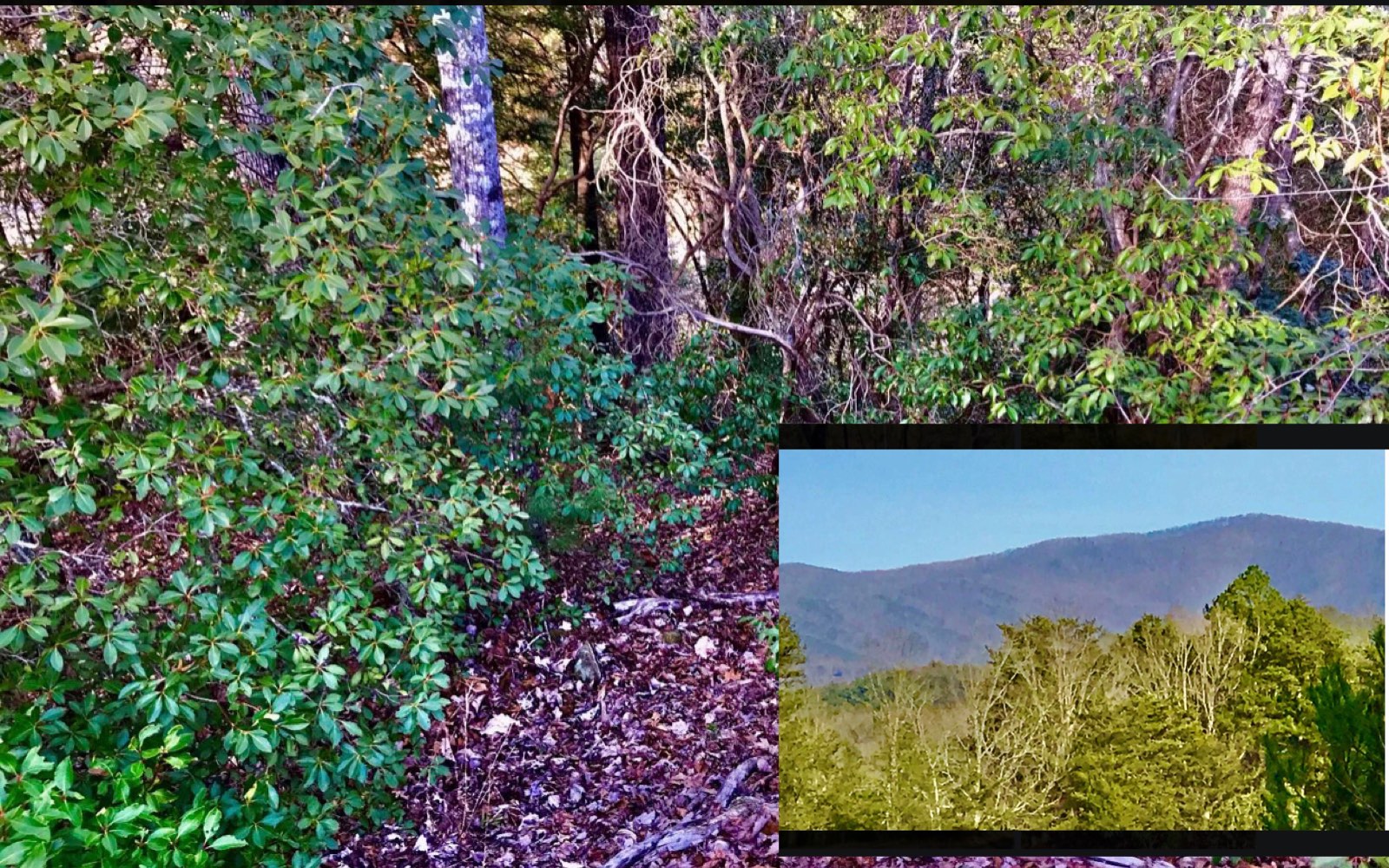 Love Golf? Love the N GA Mountains? Ready to build your very own mountain dream home? Come check this lot out. Build your home with a view of the golf course and a mountain view. The lot backs up to the golf course . Also private end of the road on a cul de sac. Low HOA fees, all paved access, river access...all this in an established community that is conveniently located between Blue Ridge and Ellijay and close to all you need.