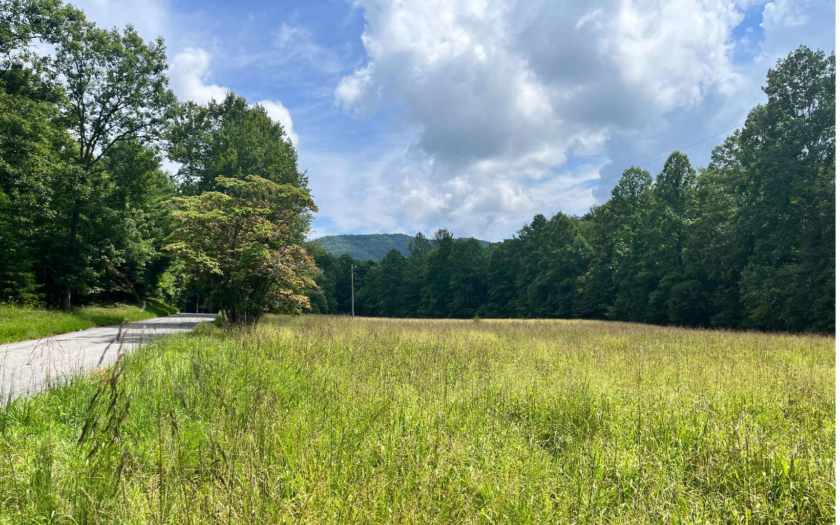 THIS PROPERTY HAS IT ALL!! **UNRESTRICTED 17.69 acres with pasture, NOISY CREEK, VIEWS and ridgeline to build your dream home. Under 10 miles from Blairsville or Murphy NC. Overhead power on property. County water ends approx. 200 ft from acreage.