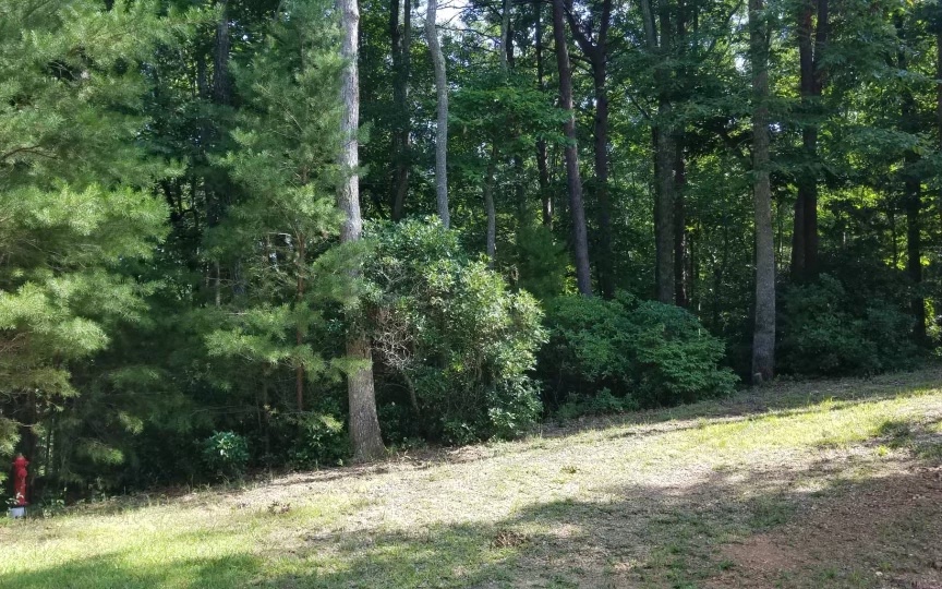 BEAUTIFULLY WOODED LOT IN THE MOUNTAINS OF NORTH GEORGIA! This wooded lot, overlooking a pasture and mountains, offers paved roads, no steep hills to climb, underground utilities and reasonable restrictions.