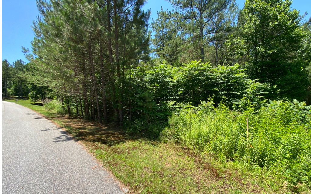 Great 1.04 acre building lot on gentle terrain. This lot is located in a community of nice homes and just minutes to beautiful Lake Nottely. Call the builder and start planning your forever home. Short drive to Blairsville and Murphy NC.