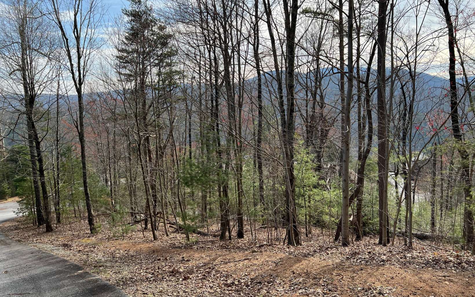 This 1.8 acre lot is located in the upscale cabin community of Stanley Creek. Located in the heart of the Aska Adventure area, it Features year-round long-range mountain views, all paved roads, and underground utilities. This lot is within two miles of one of the most scenic rivers in North GA; the Toccoa River. The Toccoa offers great canoeing/ Kayaking, float tubing, and some of the best trout fishing in GA. It is also located close to the Rich Mountain Wildlife Management area for hunting. The area is surrounded by national forest land that offers many hiking trails or mountain biking, and the Appalachian Trail (Springer Mountain) is only minutes away. This community is perfect for a second home, or your full-time dream home!