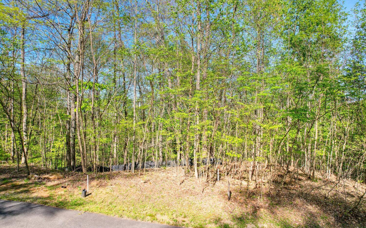 Nice, wooded lot in secluded community outside Young Harris. A little trimming should yield some long range mountain views, paved streets and underground utilities. Close to Lake Chatuge, trout fishing and all the North Ga Mountains has to offer.