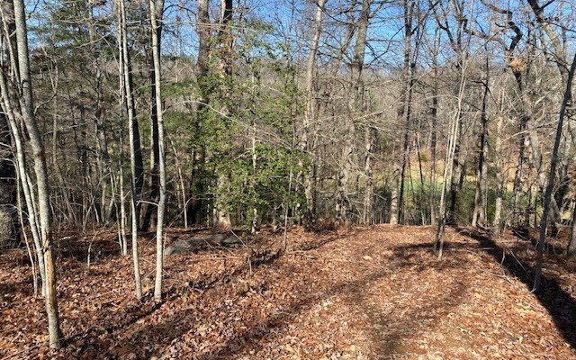 17th HOLE IN THE PRESTIGIOUS OLD TOCCOA FARM GOLF COURSE. A beautifully wooded lot with mixture of hardwoods and pine. Gently laying lot which backs up to the 17th hole. The only 24-hour guard-gated community in Fannin County where all homesites have deeded access to over 4,000 feet of the Toccoa River, a Golf Digest Award-nominated golf course, and other community amenities including the Tavern clubhouse. The community is conveniently located between Blue Ridge and McCaysville. Other bonuses: underground utilities - sewer, power, city of Blue Ridge water, high-speed internet, and paved roads. Enjoy expansive walking trails throughout the community. Come live the dream!