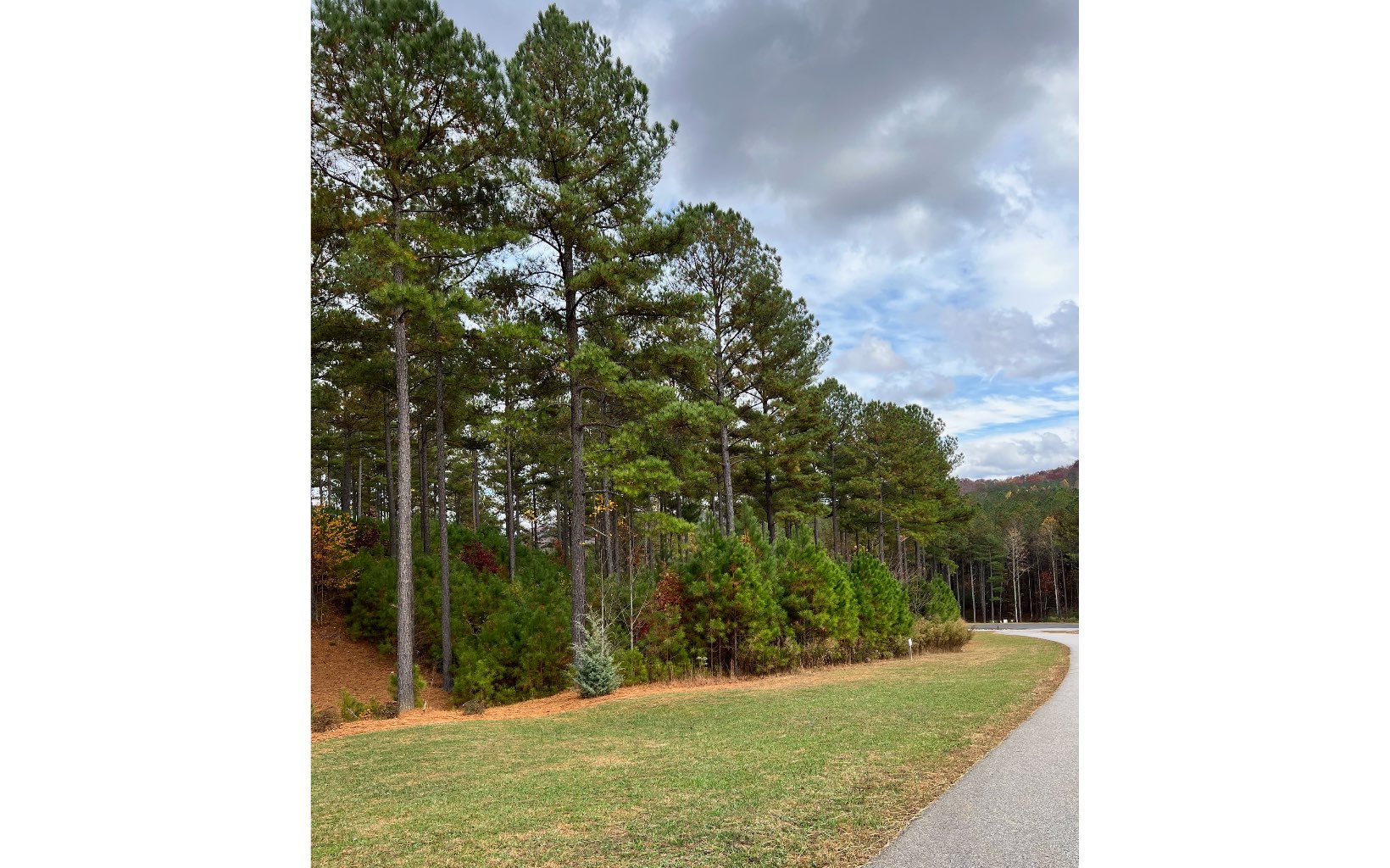 Looking for a great building lot in one of North Georgia's most popular communities? Look no further than Lot 136 in Thirteen Hundred. An amenity filled community with lake access, community pool & club house, walking trails, stables & more. All paved roads, Notla water, fiber optic. Gorgeous scenery abounds at this nice laying building lot in Thirteen Hundred