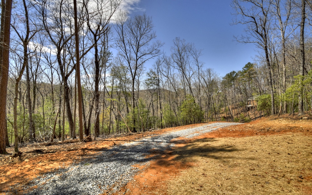 This pristine forested Mountain tract provides 11.2 acres that offers a rare opportunity to actually own your private mountain side with electric on site...perfectly mapped out, the newly installed private drive invites you up a switchback. Further up you’ll find the optimal build site ready along with enough room for an outbuilding too. Positioned on top of the tract, your build site allows an over look to your very own forest and beautiful sunsets with long range seasonal views. The land is gentle enough to hike within, provides ultimate privacy and offers a spellbinding Blue Ridge Ga mountain lifestyle. It is also close to National Forest Land. Located just inside the private gated DD Ranch, you'll be surrounded by picturesque barns, equestrian fencing , horses , high end estate cabins, farmhouse and cozy cabins. Don't worry...no Short Terms Rentals allowed along with other recorded restrictions to preserve the integrity of this Equestrain Mountain Community. ( Gated, Sorry No Drive By Showings. Must schedule and be accompanied by L.A. )