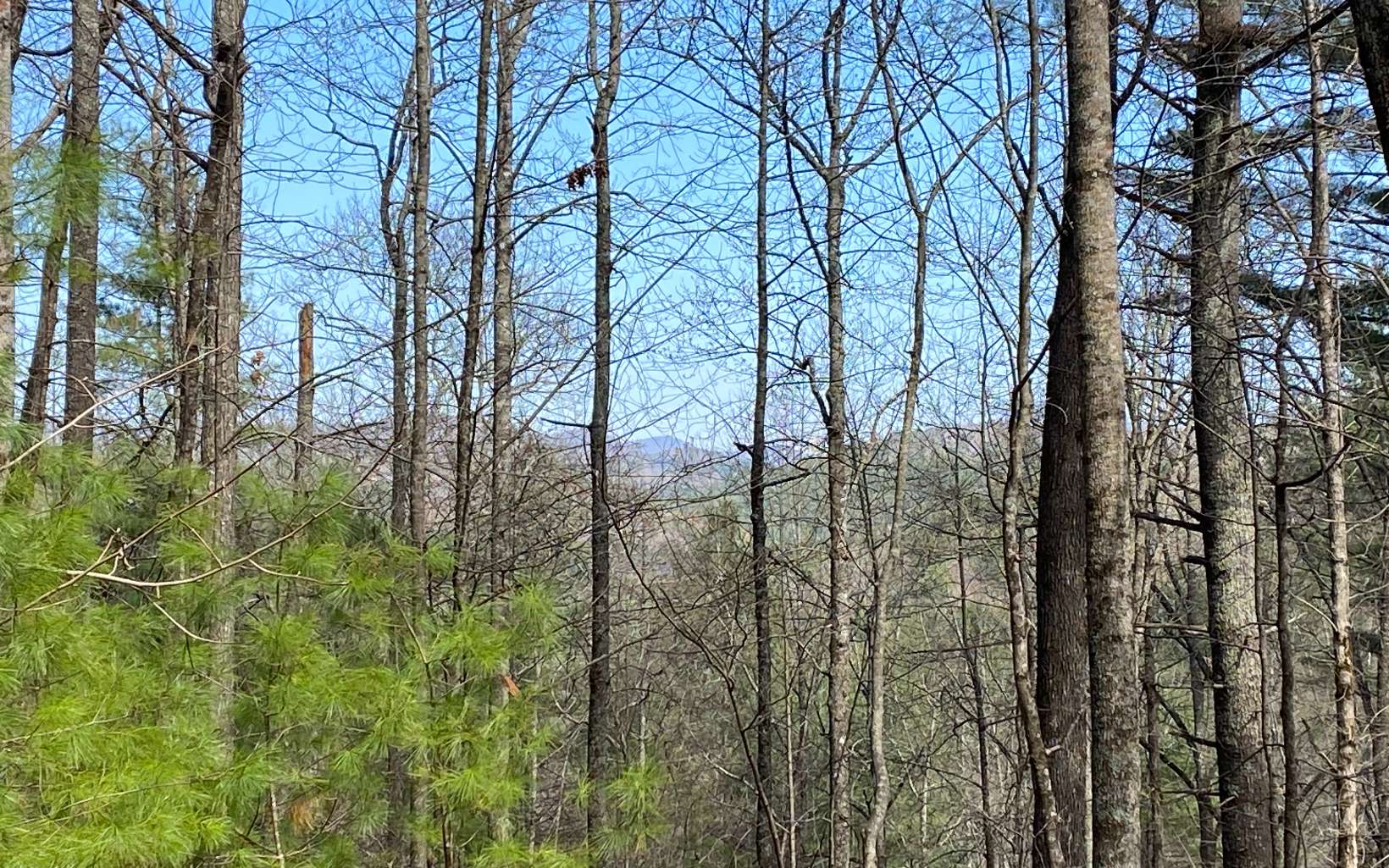 Incredible Long-Range Mountain Views & Coopers Creek Access! One of the best building sites within the pristine community, The Retreat at Coopers Creek! Come build your dream mountain home on this beautiful 1.63 acre tract with abundant mountain flora and gigantic trees! Land lays very nicely with a mountain knoll along the ridge that is a natural build site! Community water, electric/telephone/internet, and easy, paved access all the way to the property! Catch your limit of stunning rainbow trout in the shimmering waters of Coopers Creek at the common area! Just a few minutes from the National Forest for fishing, hunting, hiking, and so much fun! Only a short, scenic drive into Blue Ridge or Blairsville for dining and shopping! Make your mountain dream a reality!