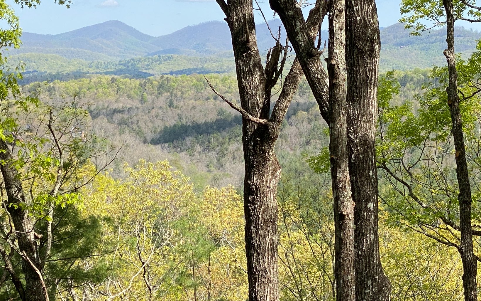 Spectacular year round views from this 2 acre lot! Welcome to Raven Ridge. This mountain community is nestled in the heart of the Appalachian Mountains w/ easy access to Blue Ridge, Blairsville and Murphy. Upscale cabins already built in this growing development. Underground utilities & community water available.