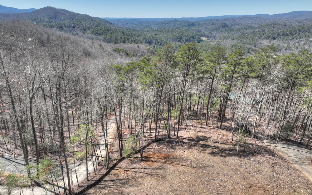 This amazing lot in Cherry Log is prepped and ready for your dream home!! Approved for a 4 bedroom septic and house plans available with purchase of lot. Enjoy breathtaking, long range mountain views and convenience to town in the highly desired Laurel Ridge Subdivision. All the hard work has been done - it's time to make your mountain dreams come true!