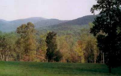 Beautiful buildable lot near entrance of Anderson Creek Retreat, a 1,200 acre mountain community adjoining 867,000 acre Chattahoochee National Forest. Site has lovely mountain views from top, a view of the pasture from front is bordered by a beautiful babbling spring fed brook at the back border. Building site has mature hardwoods and easy access to Bridle Trail. Community offers access to miles of trails, creekside pavilion, inspiring views, a first class trout stream, spring creeks, & nineteenth century homestead ruins. Conservation easements w/ the Georgia Land Trust protect more than 130 acres as community greenspace. Sensible architectural guidelines encourage smart architecture & regional styles. Sound covenants protect long-term values. Anderson Creek Retreat, a rare find for outdoor enthusiasts