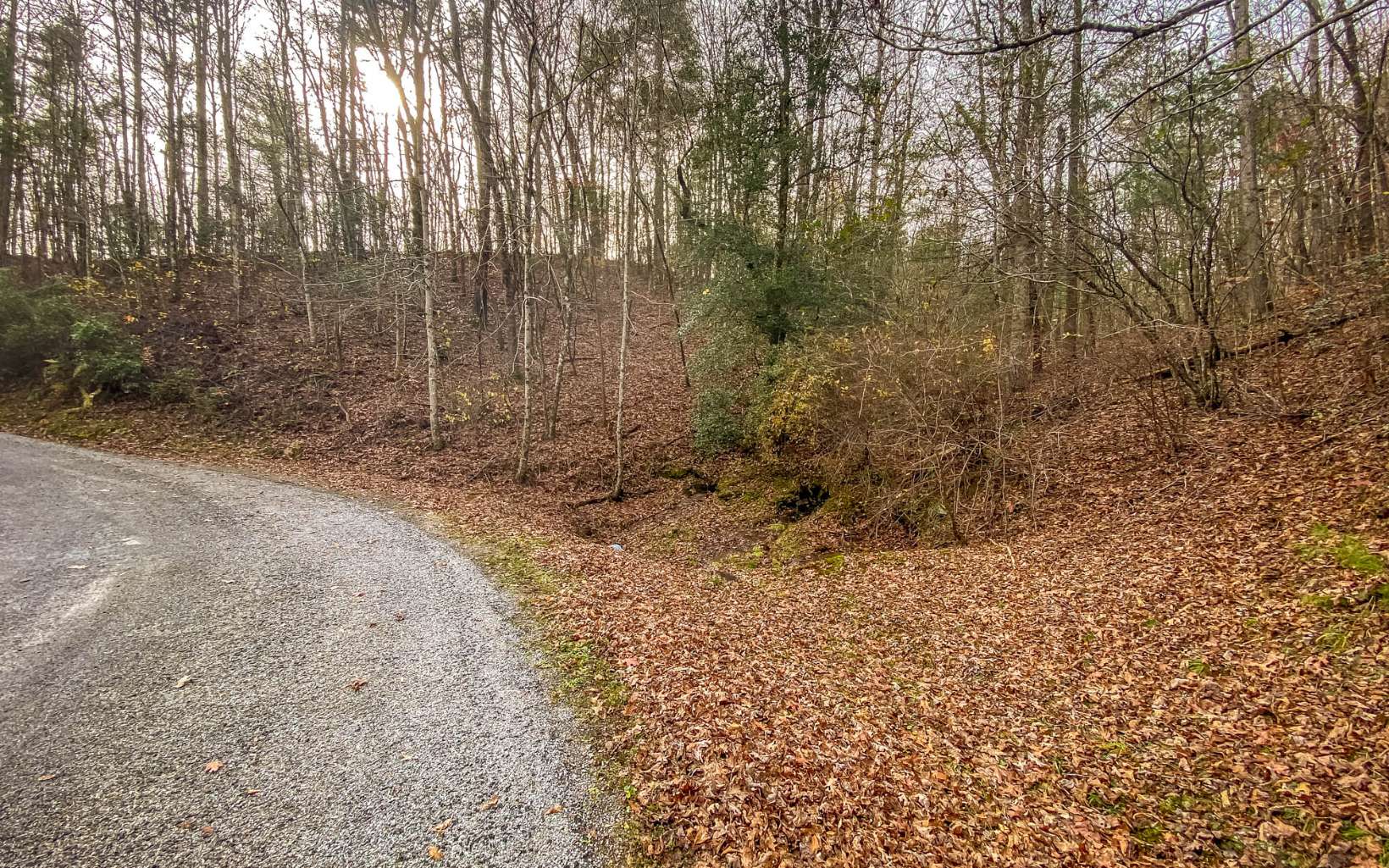Large 3 acre wooded lot in the inviting Quinn Springs Subdivision. Paved roads all the way. Gentle creek runs along the property line. Nice building site with seasonal mountain view. What an awesome place to build your forever home.