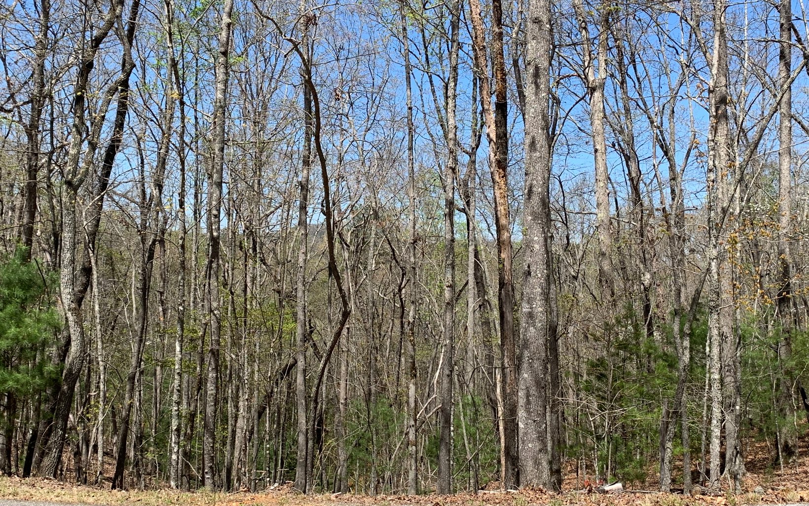 Lovely acreage with hardwood trees, seasonal long range mountain views and minimal restrictions. This well priced lot is located in the established Highlands Subdivision between Blairsville and Blue Ridge and close to Lake Nottely if you want to enjoy the lake.