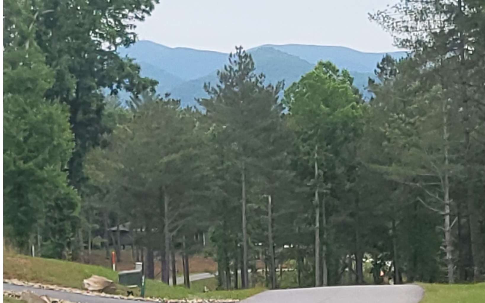 MOUNTAIN AND LAKE DREAMS COME TRUE FOR SUCH A REASONABLE PRICE!!!! Extremely easy build lot in a desirable neighborhood with a gorgeous Lake Nottely Access Clubhouse, paved roads, public water, gated entrance, and underground power. HOA fees only $1000 year. This 1.43 gentle acre is high enough to get great views without the steepness. Wooded lot with underbrush cleared so just remove where you want to build and keep a private and shaded estate. Soil work done, just needs septic permit for your house design. Less than 5 miles to Ingles and 3 miles to Walmart.