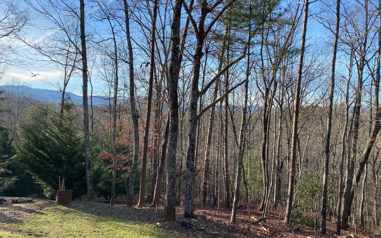 Stunning Year Round Mountain Views from this 1 acre lot in the popular Cohutta/ Sunrock area. Easy drive to Historic Downtown Blue Ridge and all of the outdoor activities this area has to offer. Community water, & underground power. Additional lots available.