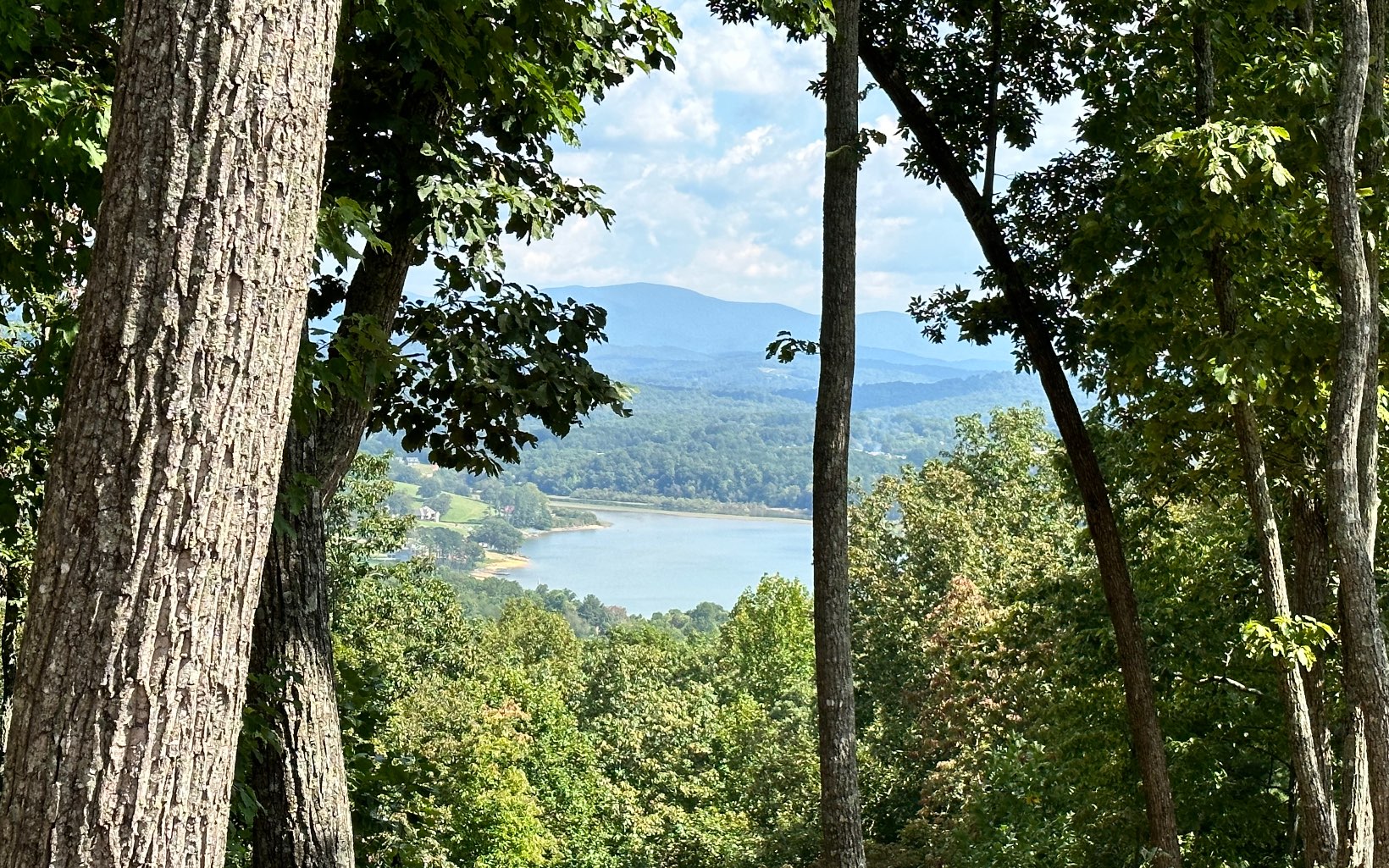 Want the best view in Blairsville? Lot 54 is situated at the top of one of Blairsville's Lakeside Communities The Crown Point at Highland Park Subdivision. Breathtaking Year long Mountain and Lake views can be yours along with top of the line amenities such as Lakeside Clubhouse with fitness center, kitchen, game room, outdoor grilling area, boat slips, lake access and a gorgeous infinity pool that overlooks Lake Nottely.