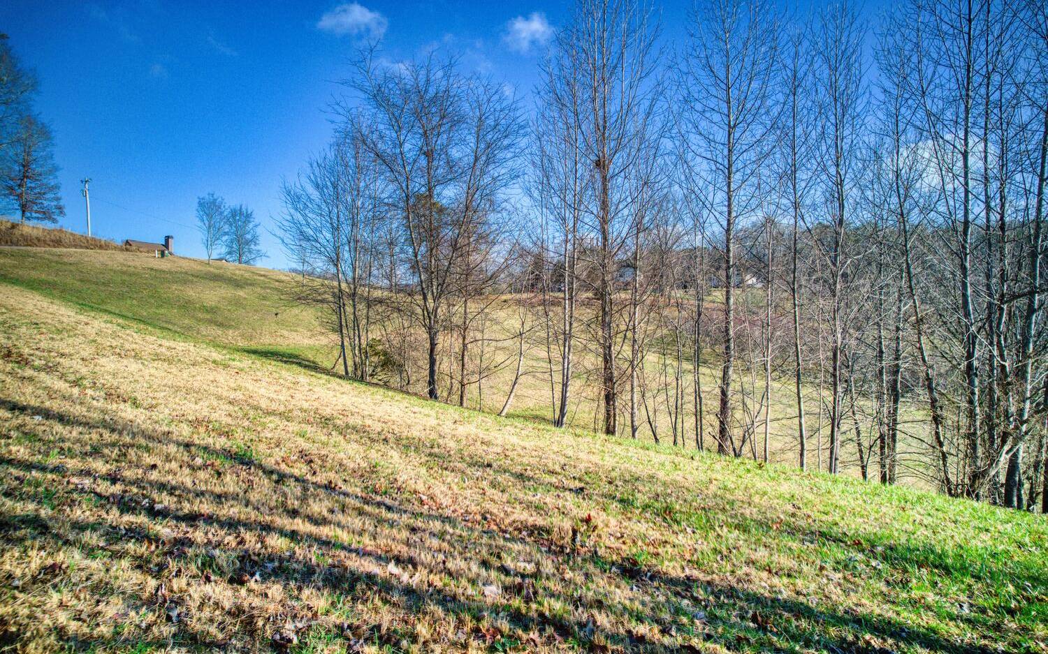 GORGEOUS PANORAMIC YEAR ROUND LONG RANGE MOUNTAIN VIEWS from this 1.36 Acre Lot! Bring your House Plan and your Builder and start on your Mountain Home! This Lot is in the BEAUTIFUL Choestoe Area of Blairsville with all Paved Roads, Underground Electric, Soil/Perk Test is Completed and Best of all there are NO RESTRICTIONS! You are only minutes to Brasstown Bald, Helton Falls and Vogel State Park. This Lot will not last long! Call me today!