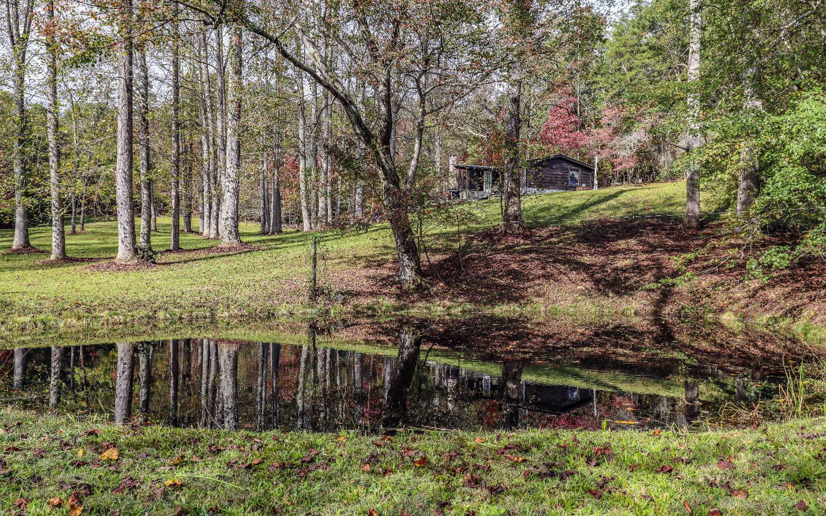 Gorgeous 6.47 acres over 1300 ft of CREEK FRONTAGE and a small POND. 3BR/2BA home was completely remodeled in 2007 into a cabin style with metal roof, wood floors, T & G walls, beams, lots of custom touches! Bring your farm or a great investment for sub dividing into multiple home sites. Check out the videos in the links for directions and walk through.