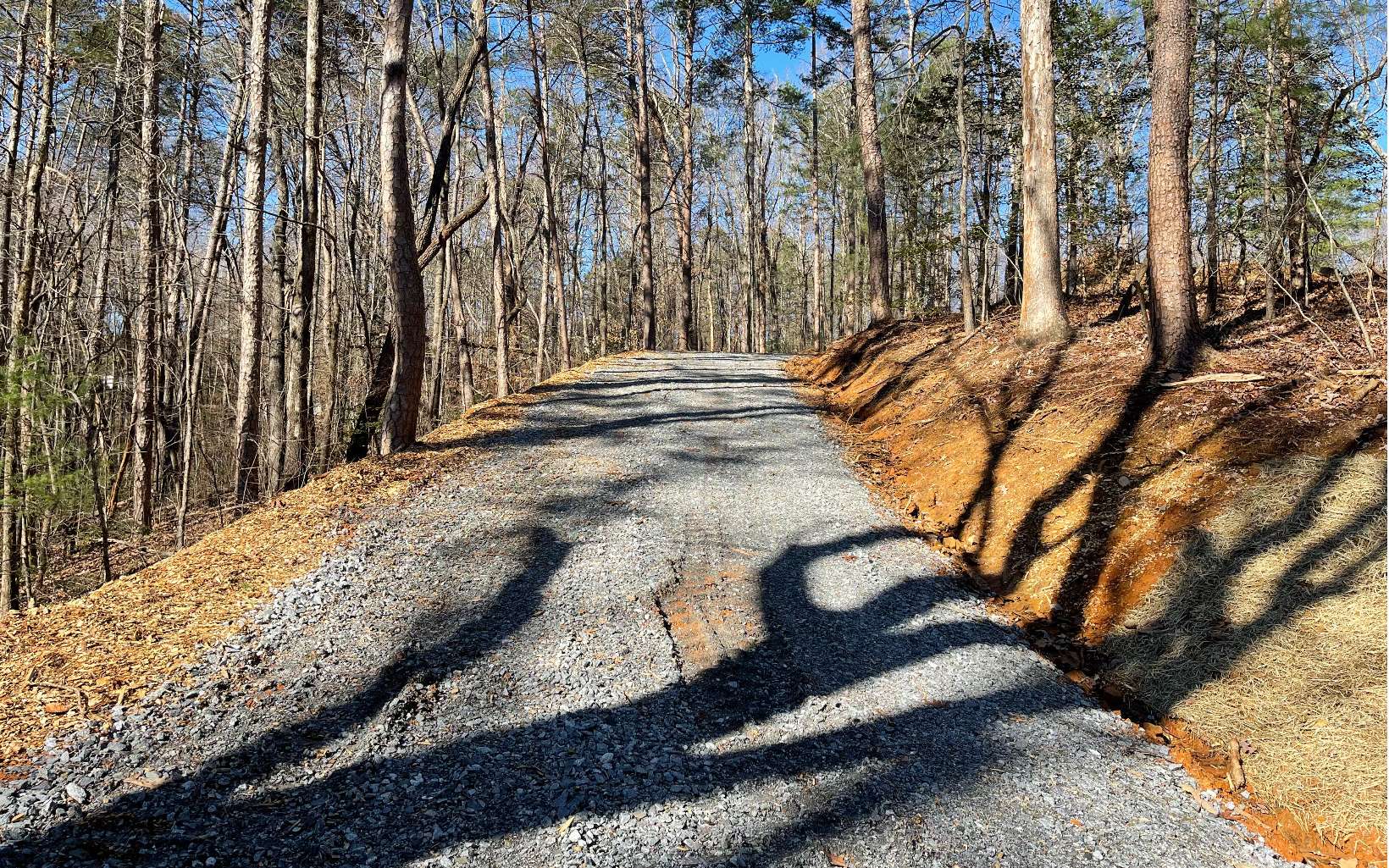 Beautiful 3.04 acres in the quiet community of Hidden Hills with driveway, 3 bedroom septic and grading already taken care of. This lot is wooded and close to hwy 515 and all the shopping centers in Ellijay. Developer has graveled the driveway and mulched the sides to prevent erosion issues, just bring your builder and house plans and get to work!