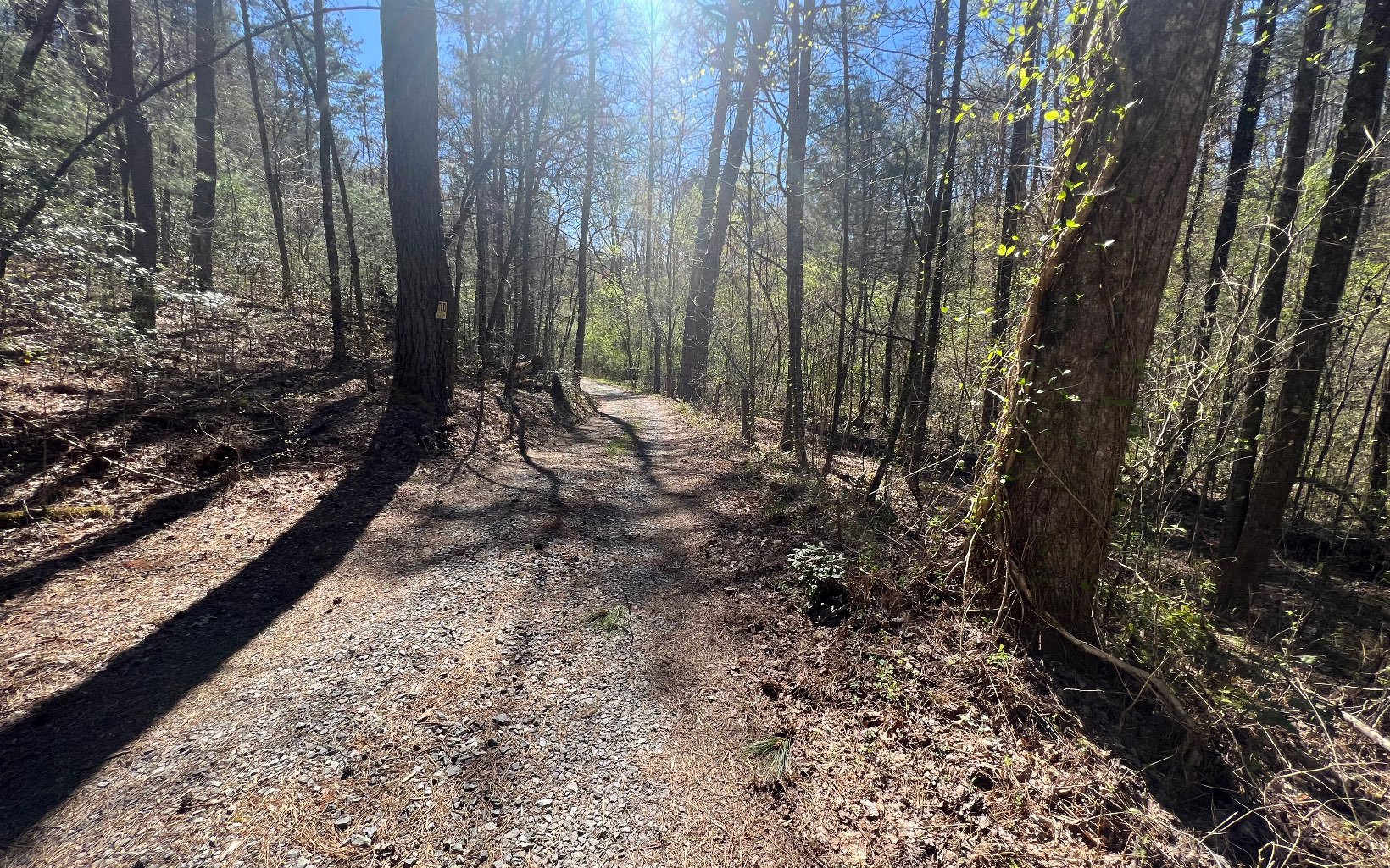 BEAUTIFUL NON RESTRICTED PRIVATE PROPERTY. GREAT FOR DEVELOPMENT OR A FAMILY RETREAT, LEVEL ENOUGH TO PUT MOBILE HOMES OR BUILD A DREAM HOME. ROAD INSTALLED BY SELLER GOES FROM FRONT TO THE END OF THE PROPERTY. WOULD BE EASY TO DEVELOP.