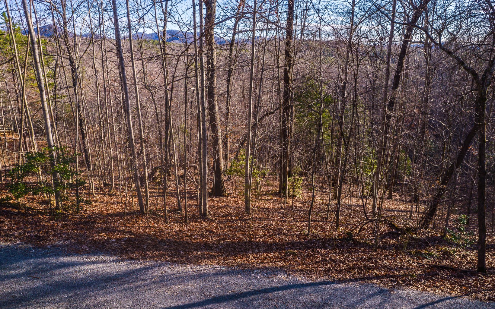 Amazing opportunity to build your dream cabin on popular Antioch Cemetery Road in Morganton, just a short distance to charming downtown Blue Ridge; and all of the outdoor activities in the area that await! Enjoy a beautiful mountain view off of your soon-to-be back porch. Across the street from this lightly wooded & private lot is 138+ acres of US Forest, with a view of Lake Blue Ridge as the backdrop. It doesn't get much better! This lot is ready to go: soil work & survey available, tap in to shared well, electric & internet available. Very gentle grade cuts down on building costs. This is a beautiful lot on a great county road; paved access just shy of where this lot begins...not getting stuck here in the winters...easy terrain. Call for more info! Close to Blue Ridge Marina, Toccoa River activities & hiking and biking