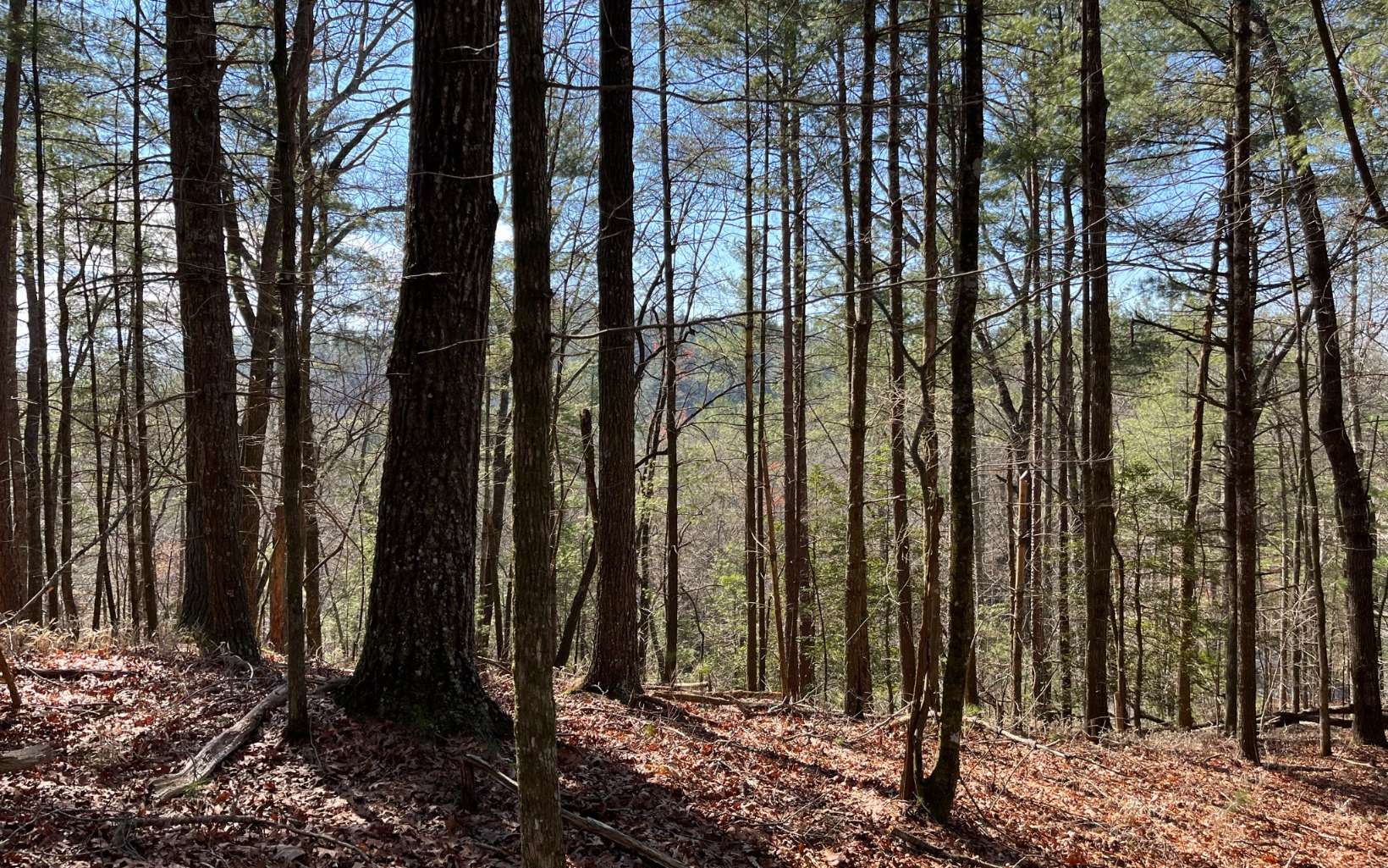 This 3+ acre MOUNTAIN VIEW lot in beautiful Pickett Mill is situated in one of the most scenic parts of Gilmer county and is an ideal place to build your mountain home! Long range views of the Cohutta Wilderness can be seen from a nice gentle building spot. Underground power, very well-maintained private roads, partial driveway clearing cut-in, & low HOA fees. The common area access and trail to E. Mountain Creek is just across the road. A short drive gets you to Ft. Mtn State Park, Lake Conasauga, or Nat’l Forest, yet only 10 minutes to downtown Ellijay’s unique local shops and dining.