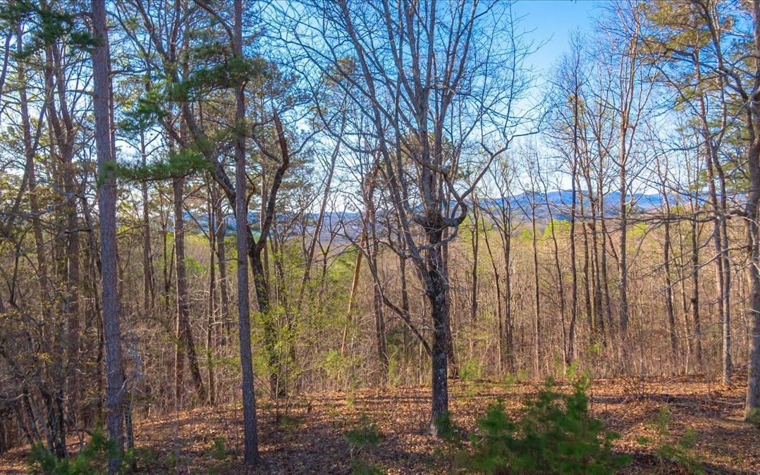 LONG-RANGE MOUNTAIN & LAKE VIEWS as well as COMMON AREA CARTERS LAKE ACCESS!!! This 1.10 acre lot offers public water, internet, cable, and electric utilities already in place, gentle sloping topography, paved roads AND part of Tranquility at Carters Lake, a private community with well established HOA, common area includes pavillion, trails along the Harris Creek and this lot sits only 3 minutes from the Carters Lake boat ramp for easy boating!!