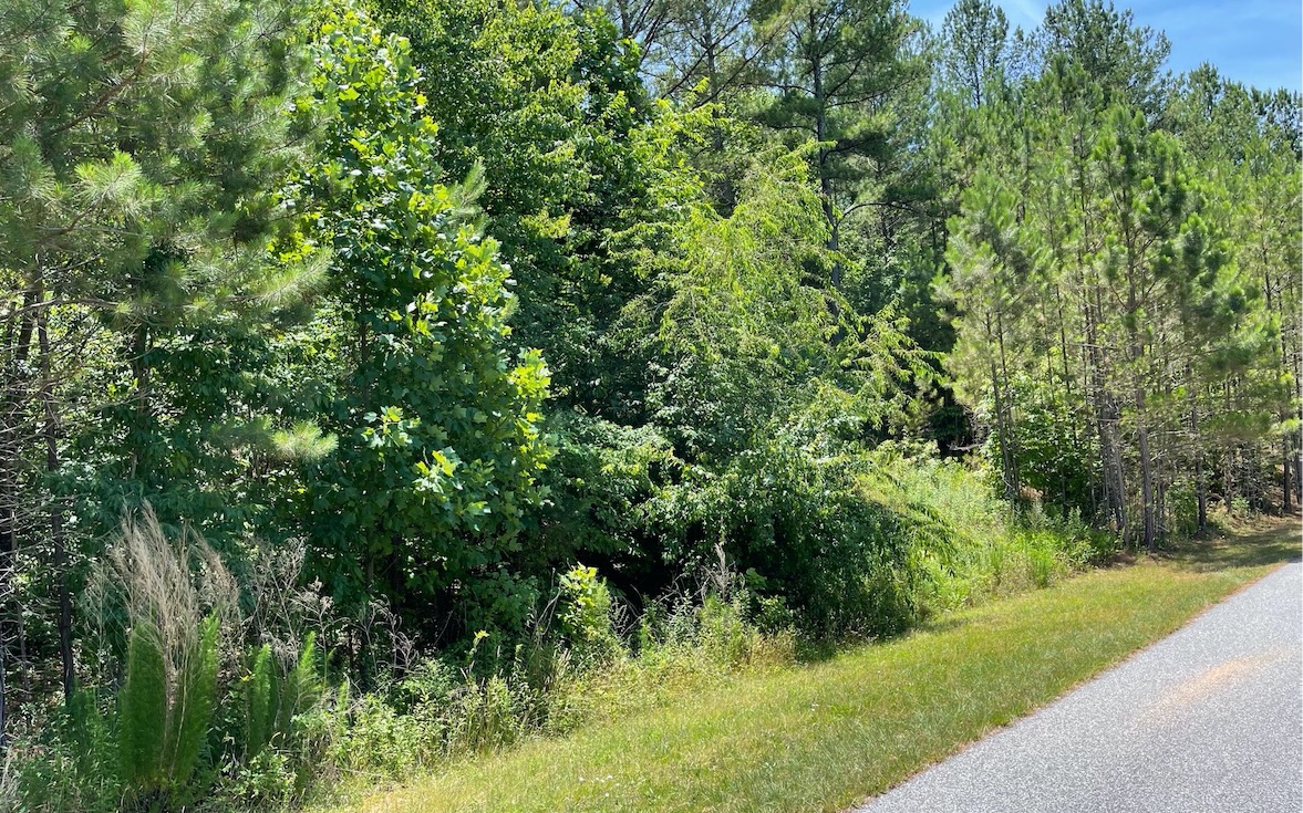 Wooded lot with circular rustic drive pushed in. Nice elevation with seasonal views. Paved Road development with Beautiful homes. Very Private development. Paved Rds, underground utilities. Close to Lake Nottley and Marina. 5.5 ish miles to town. Beautiful building site. 1 acre.