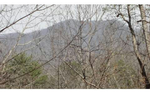 Great location to build your dream mountain home! Nice, quiet subdivision close to town with year round mountain views, underground public utilities, paved county roads and only minutes to shopping and dining. Large 1.60 acre lot ready for build!