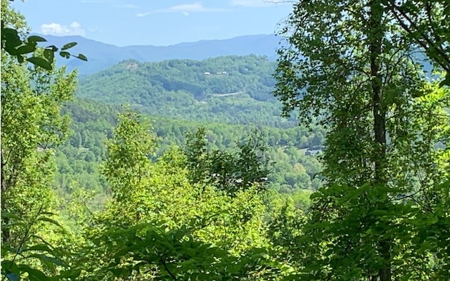 What a view! Owner financing available. Fabulous year round mountain view lot in quiet, established subdivision with public utilities and paved roads and long range mountain and valley views. Convenient location only minutes to Blairsville, Hiawassee and Hayesville with shopping and dining. Just 3 miles to Young Harris College and beautiful Brasstown Valley Resort.