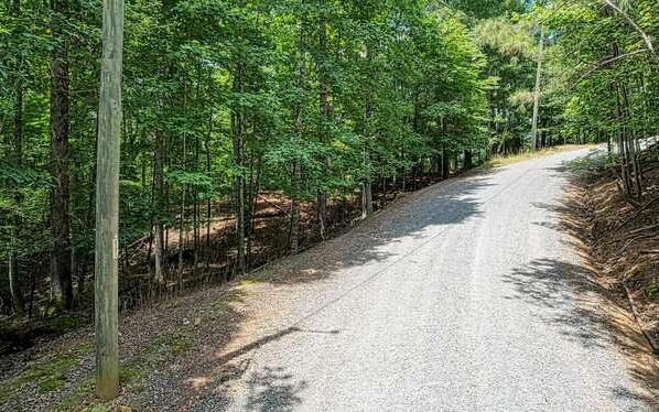Great Building lots in Coosawattee River Resort. Come build your mountain get away and enjoy all the amenities Ellijay and Coosawattee have to offer Conveniently located within 3 miles to main entrance. Additional adjoining lot is available