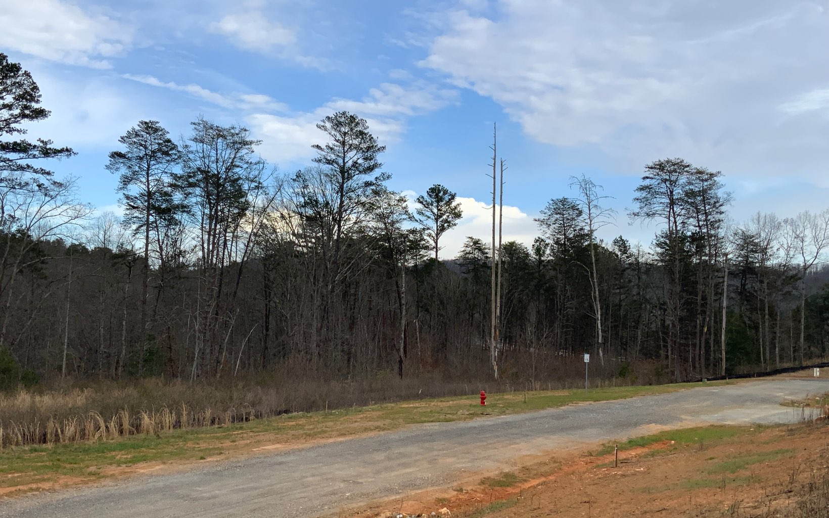 Perfect Location between Blue Ridge and Blairsville, this new community already has all the utilities including high speed internet. Some long range mountain views and some creek frontage lots are available. Come pick your lot to build that home in the Mountains you have been waiting for!