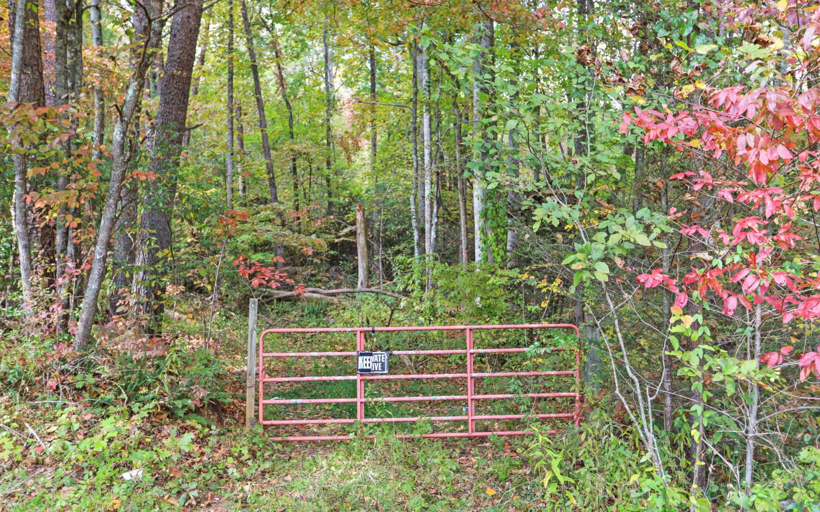 UNRESETRICTED ACREAGE, with the exception of 1 acre. NO HOA. You are able to have 2 entrances, one from Macedonia Church Road or one thru Mill Acres SD. This property has an array of different possibilities. Use as your family compound, Private Estate or Sub Divide. The location is very accessible to Downtown Blue Ridge as well as McCaysville, horseback riding, Hunting in the National Forest, Fishing in the Toccoa River. Uses are unlimited, just use your imagination. Covered in hard woods and also offers a small spring. Property is in the Conservation Program for a reduction in your county taxes. Recorded Easement to the property. New Survey is available.