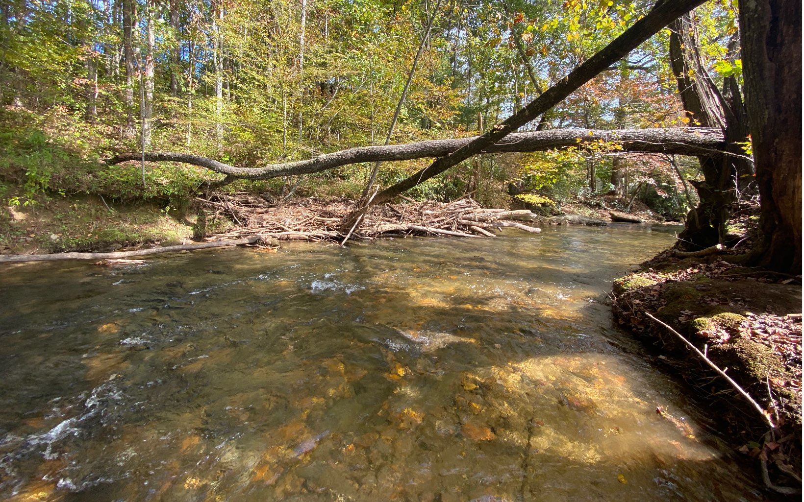 ATTENTION TROUT AND OUTDOOR ENTHUSIASTS! Imagine owning 10.64 unrestricted acres with 890 ft of frontage on the sought after Fightingtown Creek. This stunning land is mostly flat pasture with cleared and easy accesses into the creek. A new poured foundation sits back in the woods out of flood plain with spectacular mountain views and a 4 BR septic in place. Bubbling springs are also present on the property, ideal for a pond. Road has been cut and graveled leading into the property. Custom blue prints available with full price offer. Whether you want a large tract all to yourself or want to divide, this property has much to offer! Conveniently located less than 10 minutes to downtown Blue Ridge!!
