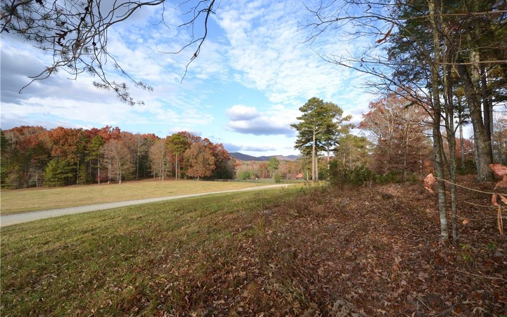 If you have ever wanted the perfect place to build your home in the mountains here is your opportunity! This 5 acre tract of land offers amazing mountain views as well as views across the street of beautiful pasture land. This lot offers just enough elevation to take in the view and still remain level. The distant view offers red roof topped barns and layers of mountains. The beauty is breathtaking! This community isn't your typical subdivision it is situated on over 1500 acres and adjoins the Chattahoochee National Forest and has over 130 acres of protected green space. You will love the private lake and beautiful trout stream, creek side parks and a private river side pavilion plus access to miles of nature/hiking trails throughout the community. This is certainly one of North Georgia's most unique communities and perfect for the nature lover. From the old growth hardwood trees to the Mountain Laurel Thickets this is the perfect spot for your new home.