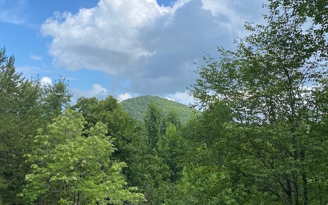 LOT 7 MOORE ACRES, Hayesville, NC 28904