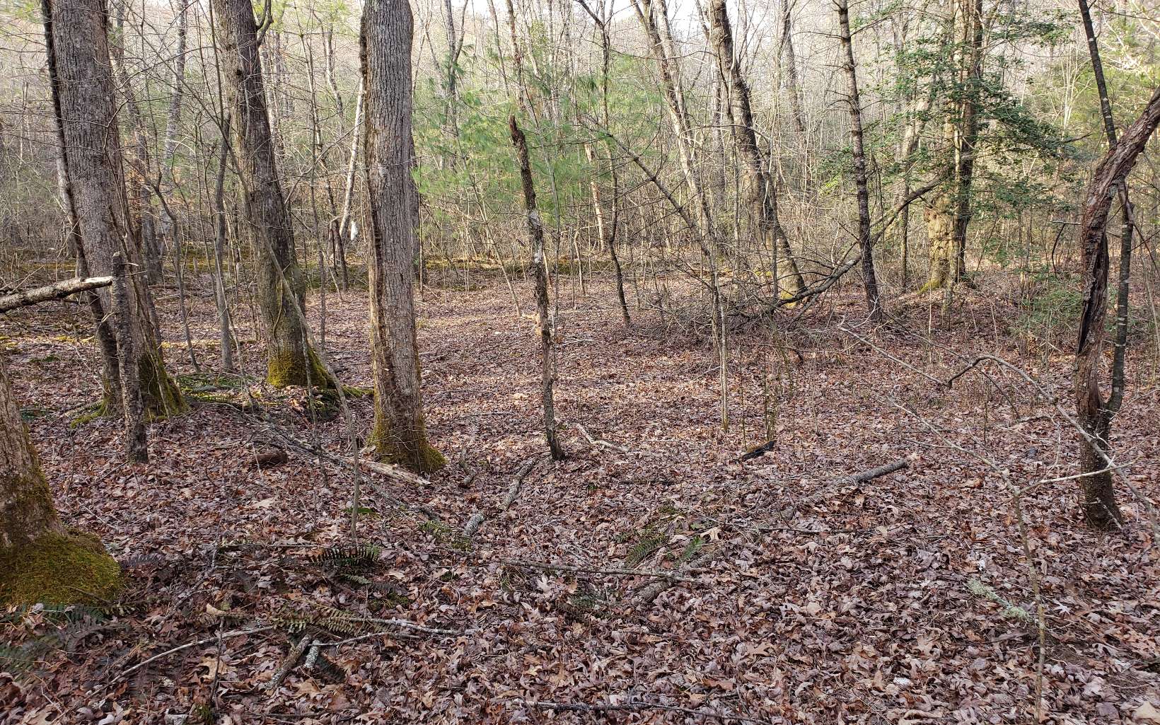 4.7 acres. Wooded and level. Minimal Deeded Restrictions No Mobile Homes and homes need to be a minimum of 600 sq ft. Very private area. Mill Creek is a county Rd until last home. Then it becomes private Rd prior to this property.