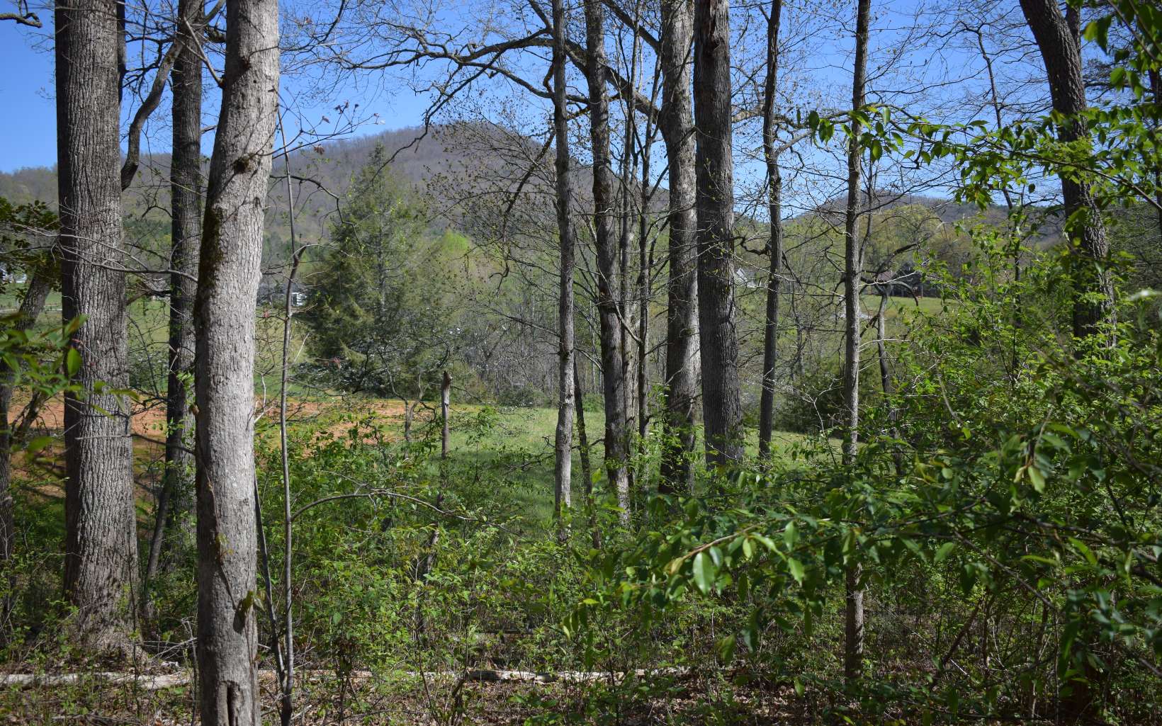 Awesome building lot with easy access in the North Georgia mountains. Spectacular Mountain and Pasture views in a premier paved subdivision that is conveniently located between Hiawassee, Hayesville & Young Harris. Close to Lake Chatuge and Brasstown Valley Resort. Underground utilities and wide paved roads. Great walking community.