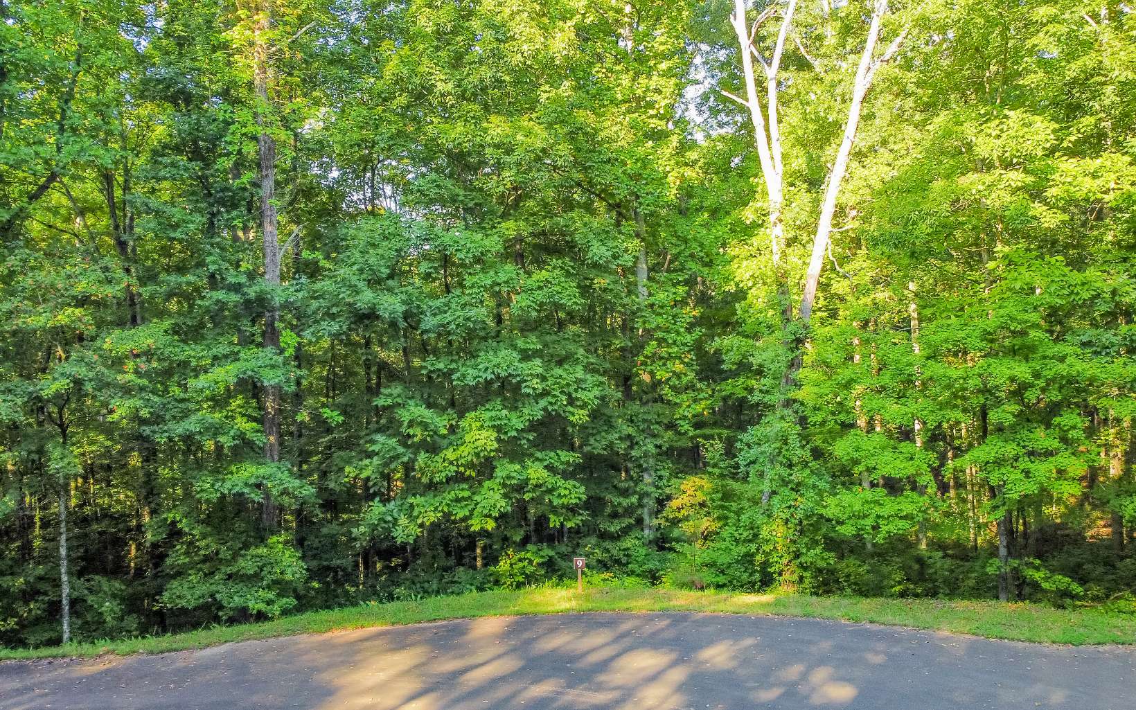 Looking for the perfect lot in a beautiful community that is in close relation to both Ellijay and Jasper to build a mountain home in? This 2.08 Acre Lot in Country Road Estates in Ellijay has all paved road access and entirely level or gentle laying terrain! This upscale community amenities include a community area with a pavilion and swings and fire pit area, gated entrance, all paved roads, electric available, great cell service, internet available and more! The best part is, you will be very close to both Ellijay and Jasper for all your dining and entertainment needs! Come view today before this one gets gone!