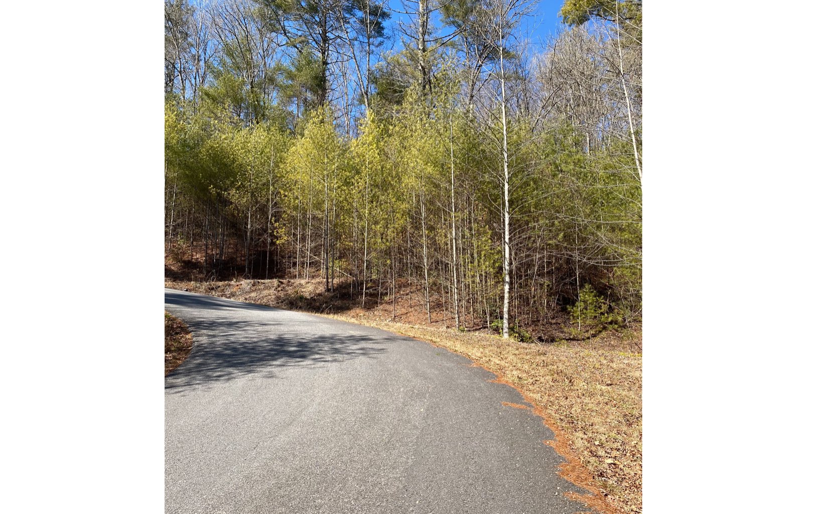 Don't wait too long or this will be gone! Beautiful wooded lot with paved road frontage, community water, power and phone at edge of property. This could have an amazing year round view with the removal of a few trees and borders US forest service land.