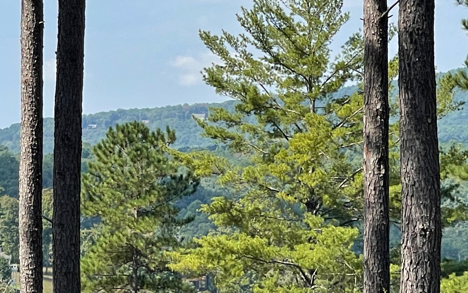BEAUTIFULLY WOODED 2+ ACRE LOT IN GATED UPSCALE NORTH GEORGIA MOUNTAIN COMMUNITY!! 2.15 Acres in the upscale Thirteen Hundred subdivision. Wooded lot at the end of a cul-de-sac with lake access. Seasonal mountain views and paved roads on gentle terrain. Lots of amenities in this subdivision that is close to town. Boat slips, lake access, community pool, gated entrance, and clubhouse, make this an awesome place to build your dream home!