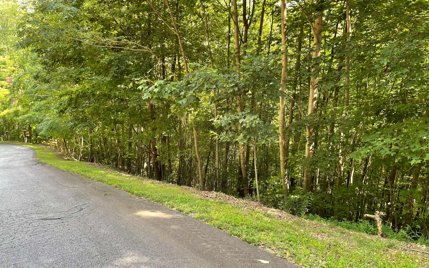 NORTH GEORGIA MOUNTAIN LOT IN PAVED SECLUDED SUBDIVISION!! This 2 acre lot in the Overlook of Young Harris subdivision offers great views year round with a little trimming, water, electric available, paved roads in PLUS it's close to Young Harris College, trout fishing, between Hiawassee and Blairsville.