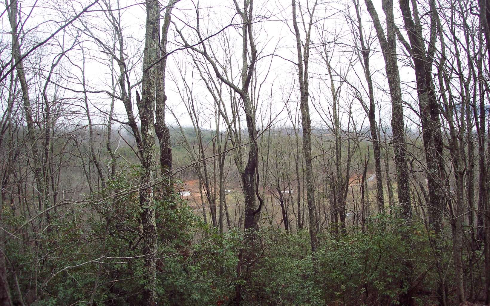 Wonderful deep wooded views from beautiful Lot 11A in Autumn Ridge Subdivision. This is a relatively small Subdivision with minimal covenants & restrictions designed to protect your investment, and not be a hassle for the owner. Nicely laying land with great building sites. All paved roads for easy access. Privacy and quiet, yet within 5 miles to either Hayesville, North Carolina or Hiawassee, Georgia. Additional contiguous acreage with great mountain & Lake Chatuge views is available to provide an even greater private retreat for your mountain cabin/home. See Lots #13A and #17 contiguous properties each at $19,000 MLS 315922 and 315923.